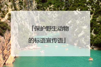 保护野生动物的标语宣传语