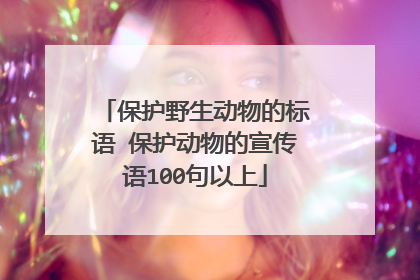 保护野生动物的标语 保护动物的宣传语100句以上