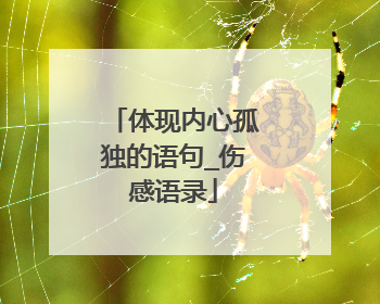 体现内心孤独的语句_伤感语录