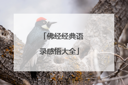 佛经经典语录感悟大全