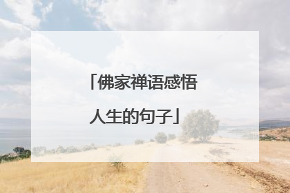 佛家禅语感悟人生的句子