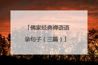 佛家经典禅语语录句子(三篇)