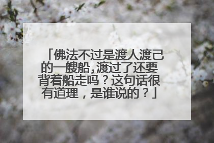 佛法不过是渡人渡己的一艘船,渡过了还要背着船走吗？这句话很有道理，是谁说的？