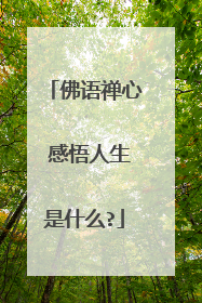 佛语禅心 感悟人生是什么?