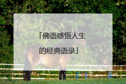 佛语感悟人生的经典语录