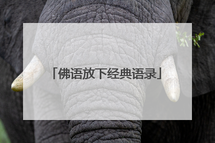 佛语放下经典语录