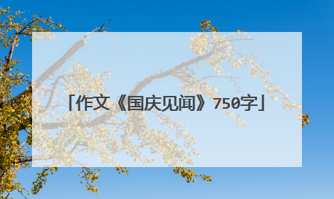 作文《国庆见闻》750字