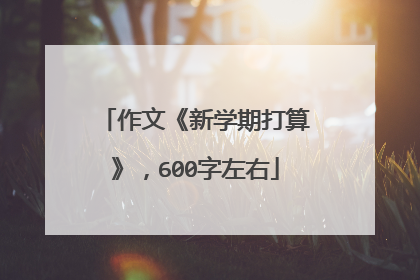 作文《新学期打算》，600字左右