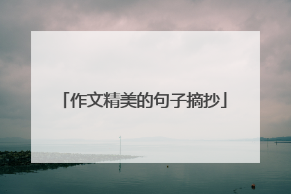 作文精美的句子摘抄