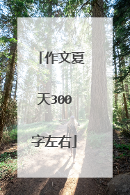 作文夏天300字左右