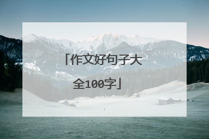 作文好句子大全100字