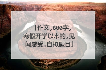 作文,600字,寒假开学以来的,见闻感受,自拟题目