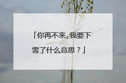 你再不来,我要下雪了什么意思？