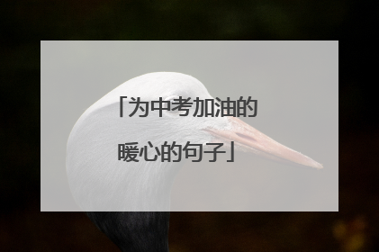 为中考加油的暖心的句子