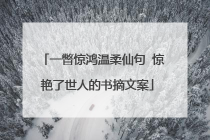 一瞥惊鸿温柔仙句 惊艳了世人的书摘文案