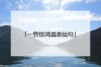 一瞥惊鸿温柔仙句