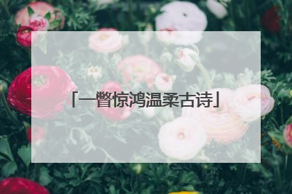 一瞥惊鸿温柔古诗