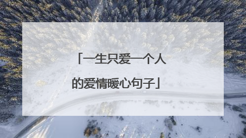 一生只爱一个人的爱情暖心句子