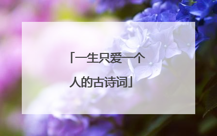 一生只爱一个人的古诗词