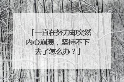 一直在努力却突然内心崩溃，坚持不下去了怎么办？