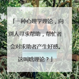一种心理学理论，向别人寻求帮助，帮忙者会对求助者产生好感。这叫啥理论？