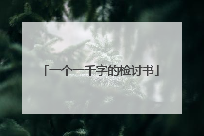 一个一千字的检讨书