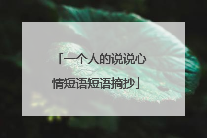 一个人的说说心情短语短语摘抄