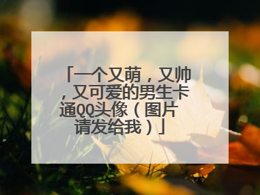 一个又萌,又帅,又可爱的男生卡通QQ头像(图片请发给我)