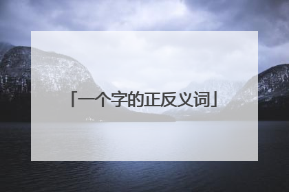 一个字的正反义词