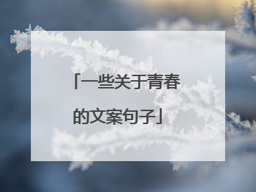 一些关于青春的文案句子
