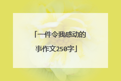 一件令我感动的事作文250字