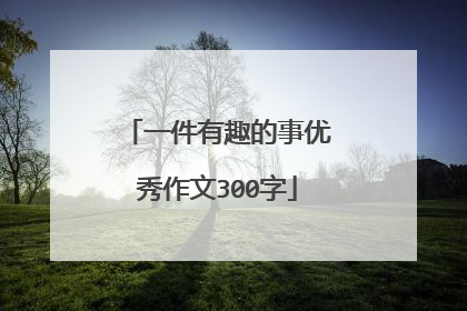 一件有趣的事优秀作文300字