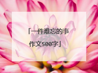 一件难忘的事作文500字