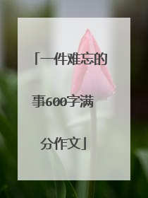 一件难忘的事600字满分作文