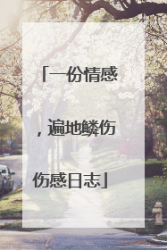 一份情感,遍地鳞伤伤感日志