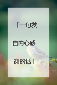 一句发自内心感谢的话