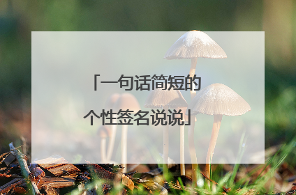 一句话简短的个性签名说说