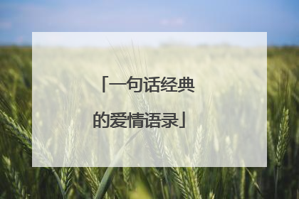 一句话经典的爱情语录