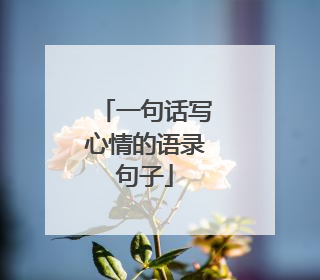 一句话写心情的语录句子