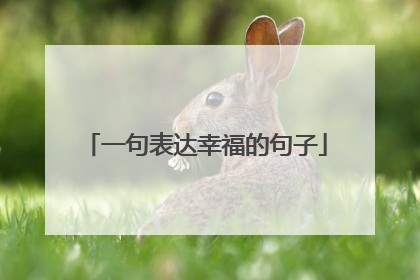 一句表达幸福的句子