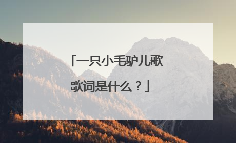 一只小毛驴儿歌歌词是什么？