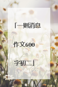 一则消息作文600字初二