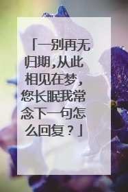 一别再无归期,从此相见在梦,您长眠我常念下一句怎么回复?