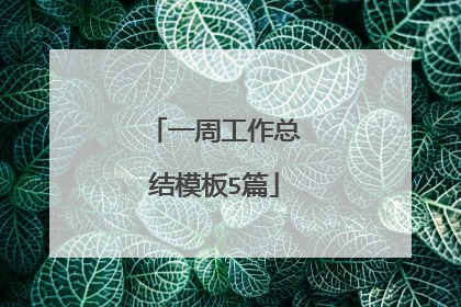 一周工作总结模板5篇