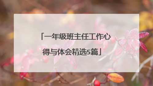 一年级班主任工作心得与体会精选5篇