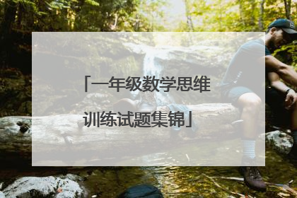 一年级数学思维训练试题集锦