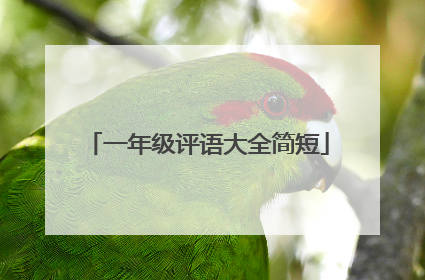 一年级评语大全简短