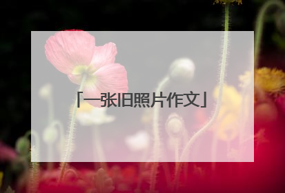 一张旧照片作文