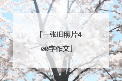 一张旧照片400字作文