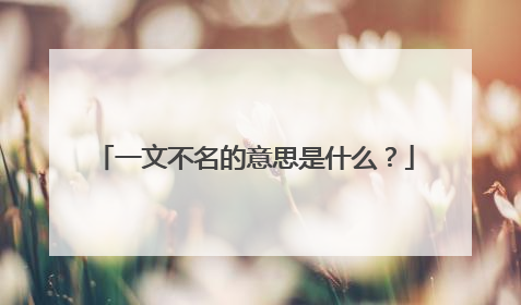 一文不名的意思是什么？